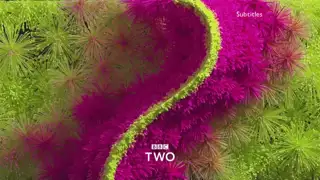 Thumbnail image for BBC Two (First 2019)  - 2019