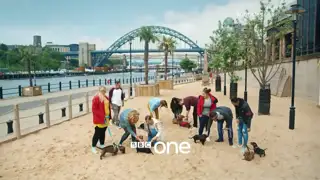 Thumbnail image for BBC One (New Year 2020)  - 2020