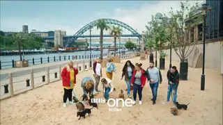 Thumbnail image for BBC One Wales (New Year 2020)  - 2020