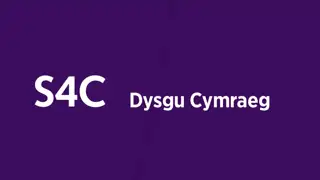 Thumbnail image for S4C (Break - Dysgu Cymraeg)  - 2020