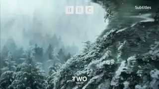 Thumbnail image for BBC Two Wales (Trees/Magical)  - Christmas 2021