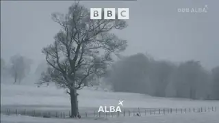 Thumbnail image for BBC Alba (NYE - 11.30pm)  - 2021