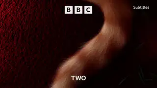 Thumbnail image for BBC Two (NYE - 10.40pm)  - 2021