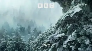 Thumbnail image for BBC Two (NYE - 11.25pm)  - 2021