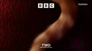 Thumbnail image for BBC Two NI (NYE - 10.40pm)  - 2021