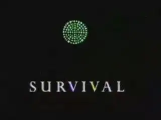 Thumbnail image for Survival - 1990 