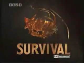 Thumbnail image for Survival - 1994 