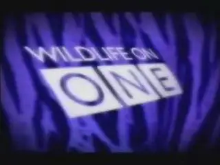 Thumbnail image for Wildlife on One - 2000 