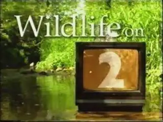 Thumbnail image for Wildlife on Two - 2001 