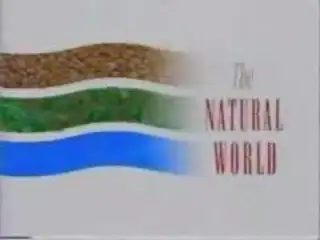 Thumbnail image for The Natural World - 1990 