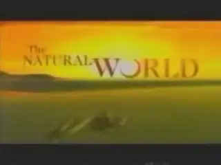 Thumbnail image for The Natural World - 1997 