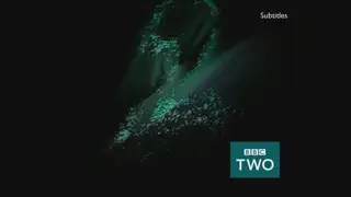 Thumbnail image for BBC Two (Optics)  - 2017