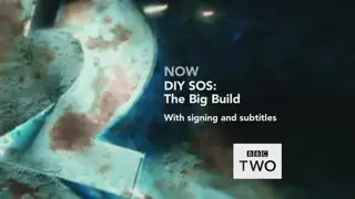 Thumbnail image for BBC Two (Sign Zone - Copper Cut Out)  - 2017