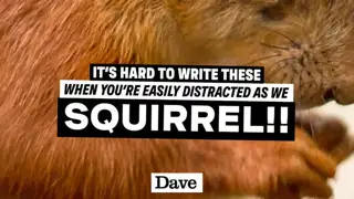 Thumbnail image for Dave (Break - Squirrel)  - 2023