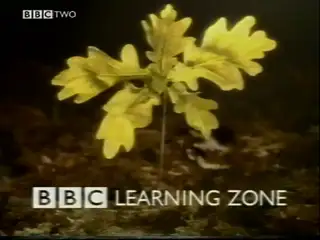 Thumbnail image for BBC Two (Learning Zone)  - 2005