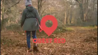 Thumbnail image for Quest Red (Leaves)  - 2017