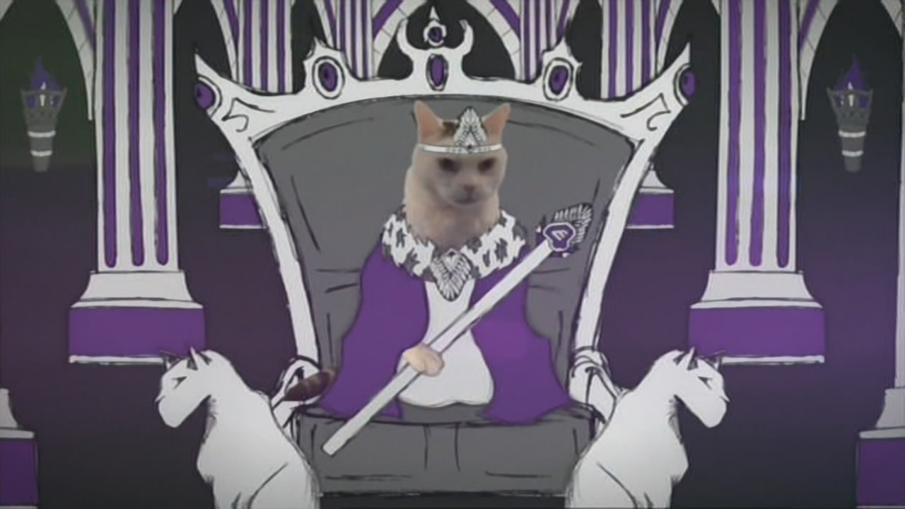 Thumbnail image for E4 (E-Sting - Animal House)  - 2015