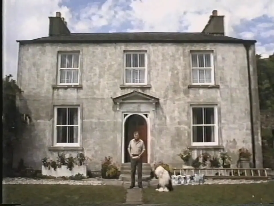 Thumbnail image for Dulux  - 1991
