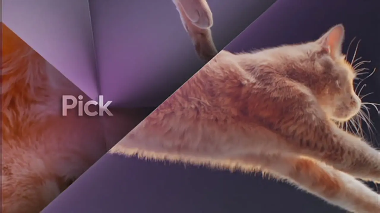 Thumbnail image for Pick (Cat)  - 2017