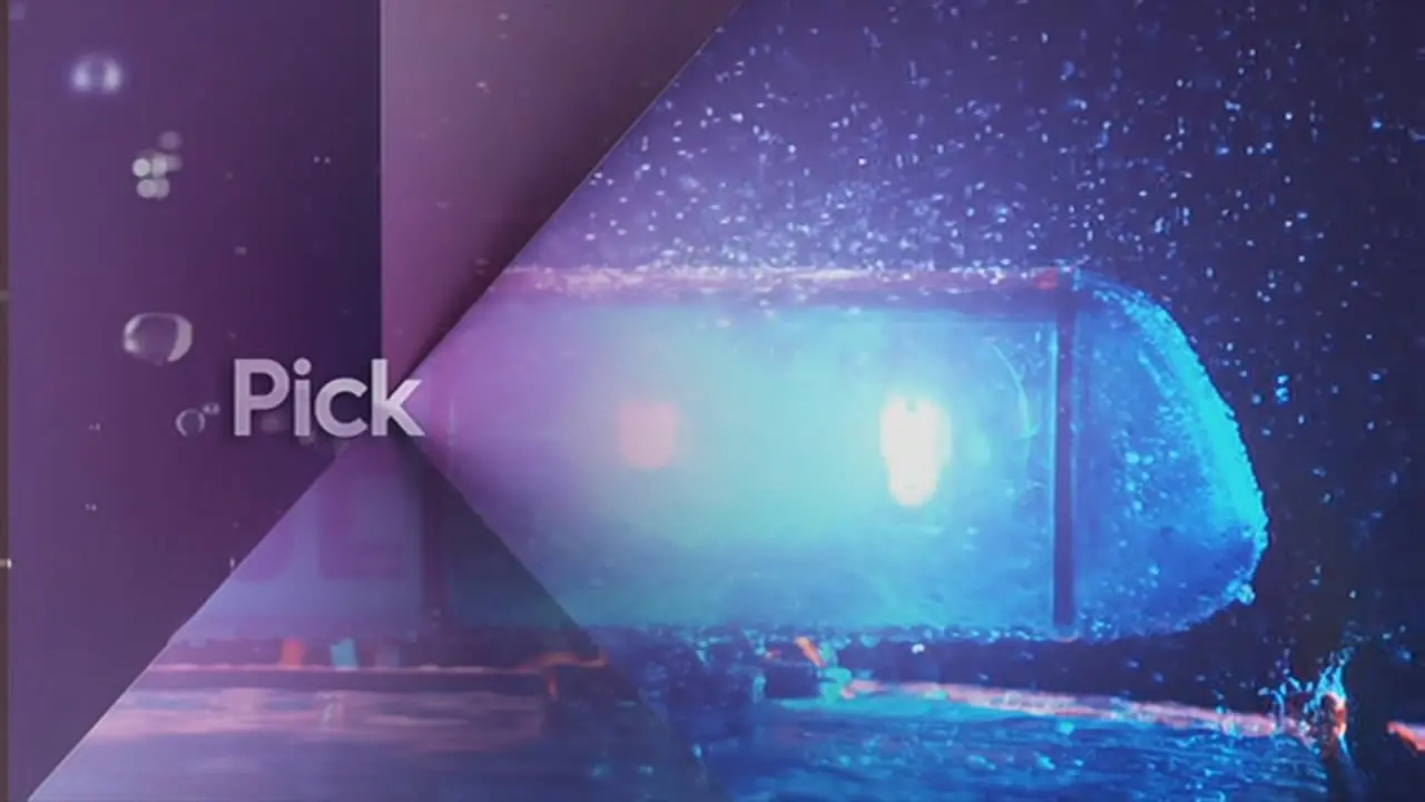 Thumbnail image for Pick (Police)  - 2017