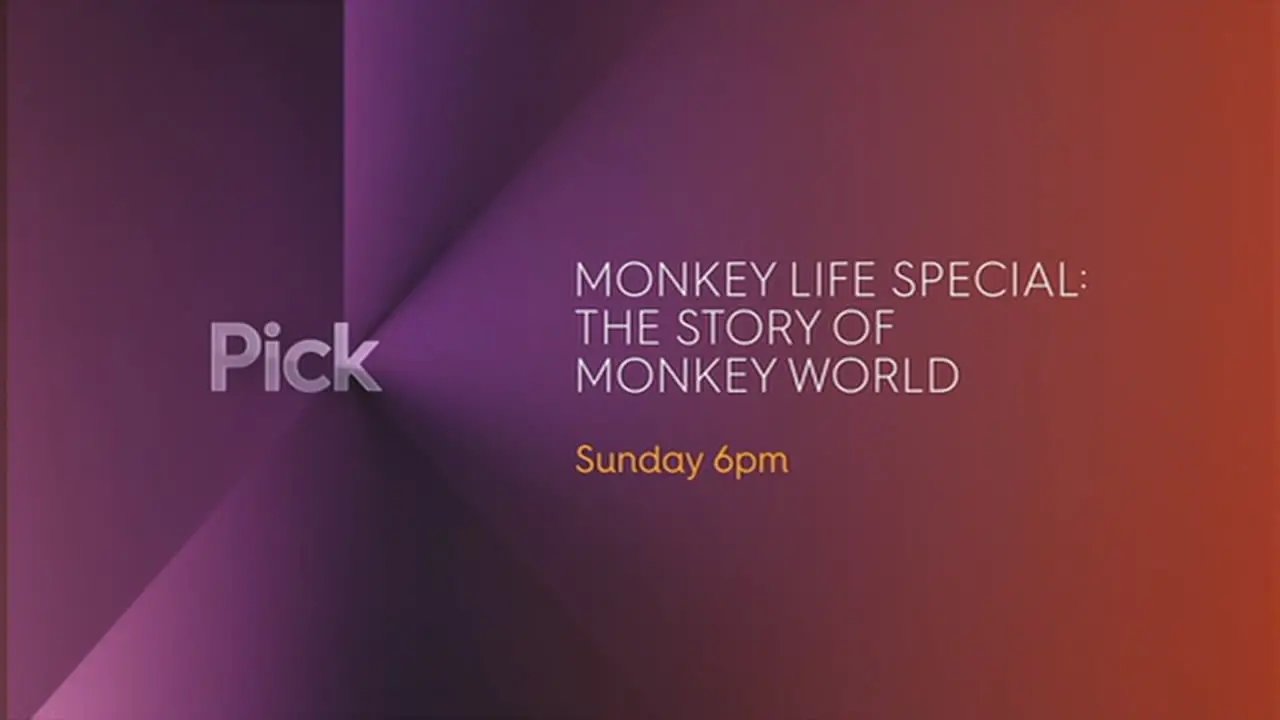 Thumbnail image for Pick (Promo)  - 2017