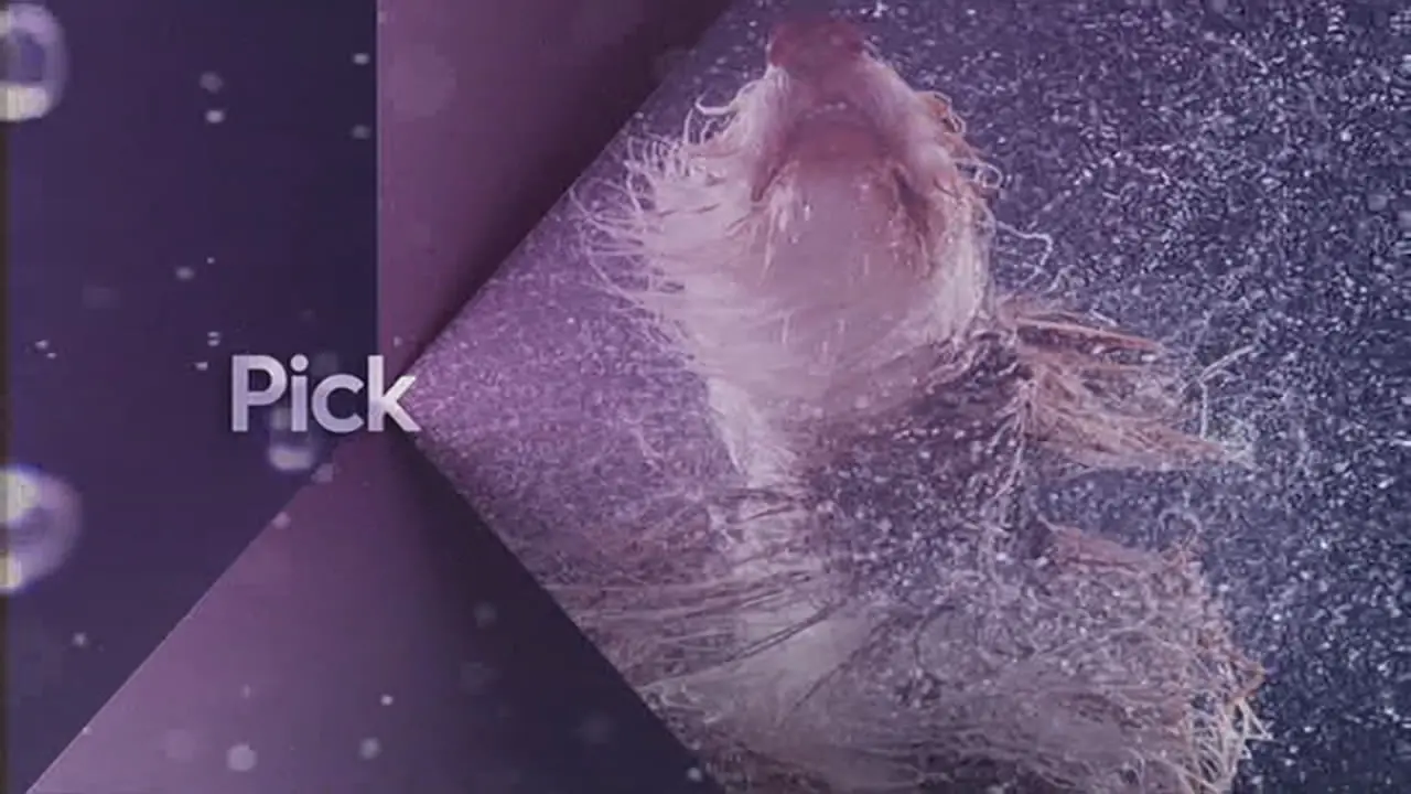 Thumbnail image for Pick (Break Popcorn)  - 2017
