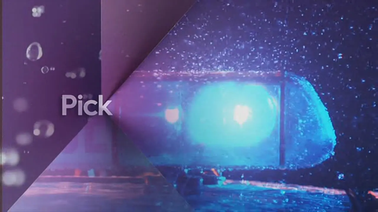 Thumbnail image for Pick (Break Police)  - 2017