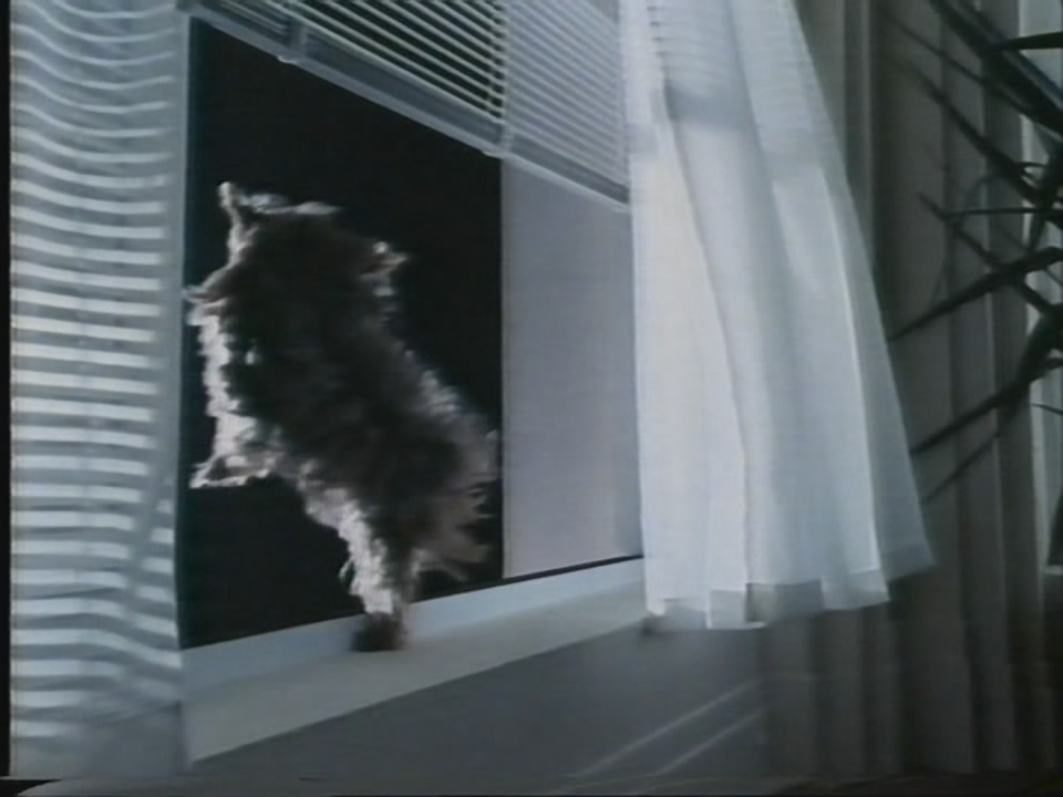 Thumbnail image for Harp (Dog and Ball)  - 1989