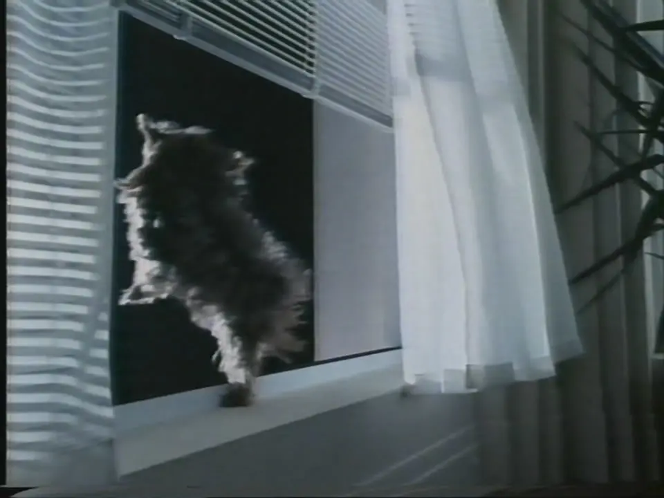Thumbnail image for Harp (Dog and Ball)  - 1989
