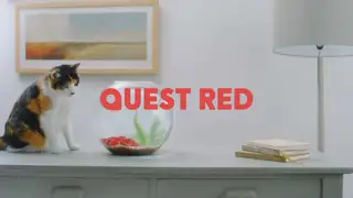 Thumbnail image for Quest Red (Cat)  - 2018