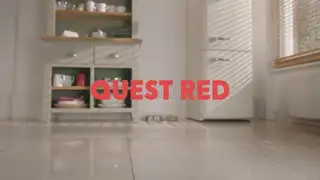 Thumbnail image for Quest Red (Dog)  - 2018