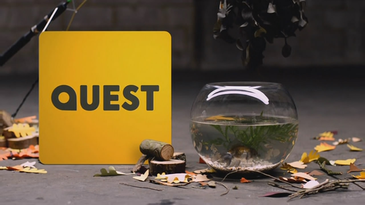 Thumbnail image for Quest (Outdoors)  - 2018