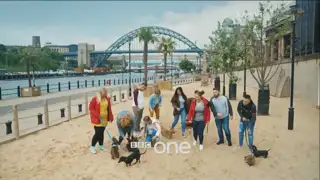 Thumbnail image for BBC One (Sausage Dog Walkers)  - 2018