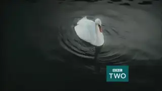 Thumbnail image for BBC Two (Last '2' Junction)  - 2018