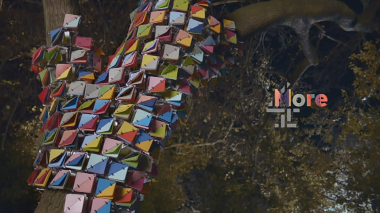 Thumbnail image for More4 (Tree)  - 2018