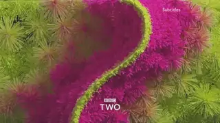 Thumbnail image for BBC Two (Fireworks)  - 2018