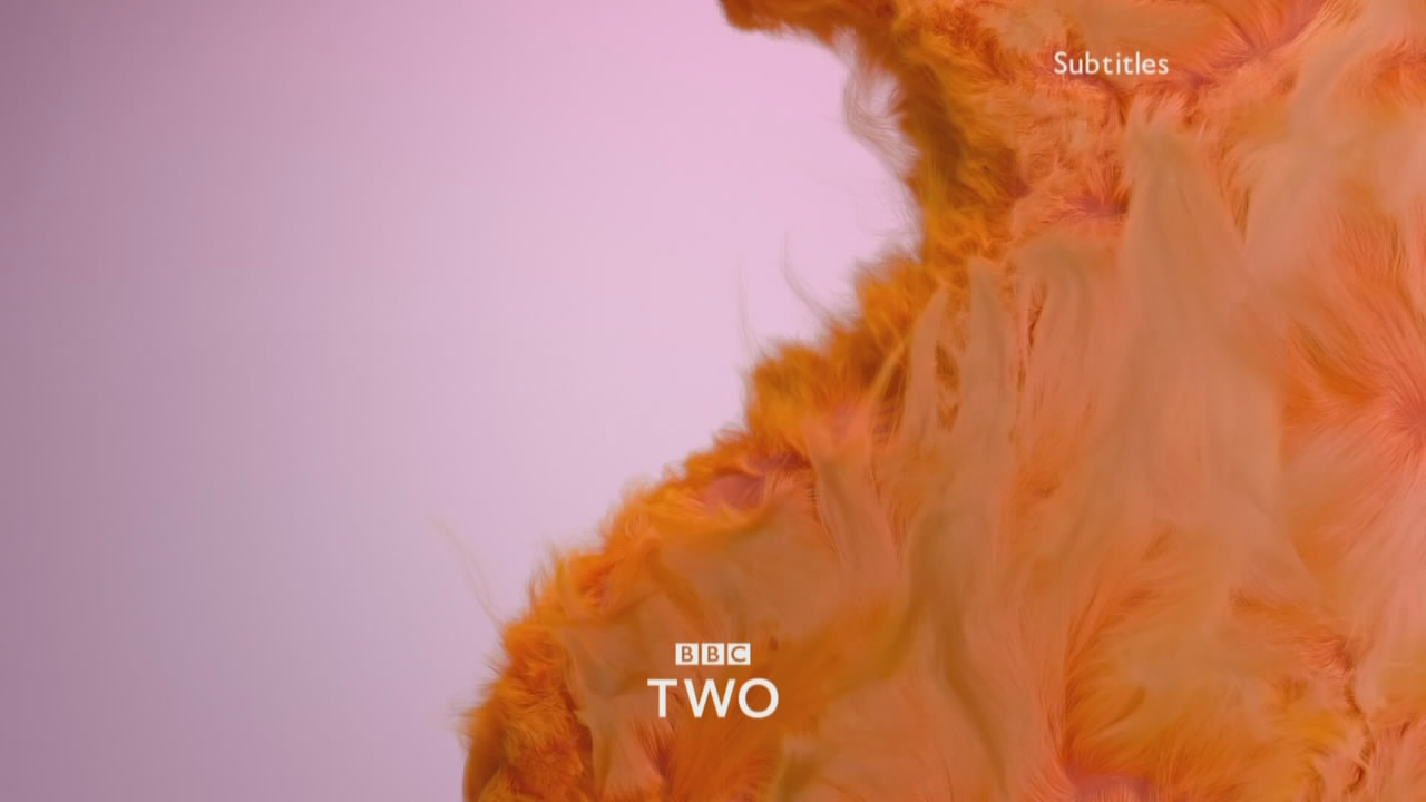 Thumbnail image for BBC Two (Fluffy)  - 2018