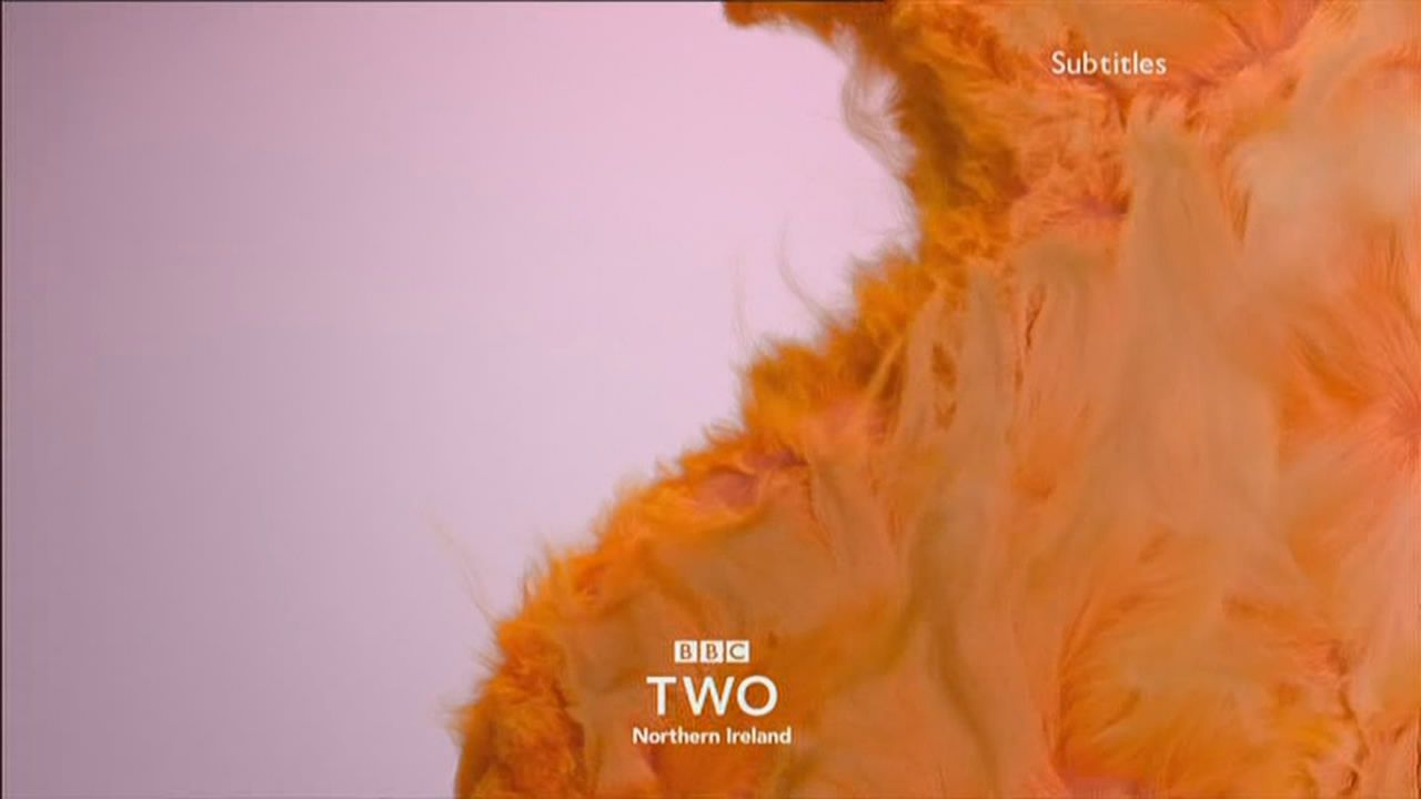 Thumbnail image for BBC Two NI (Fluffy)  - 2018