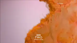 Thumbnail image for BBC Two NI (Fluffy)  - 2018