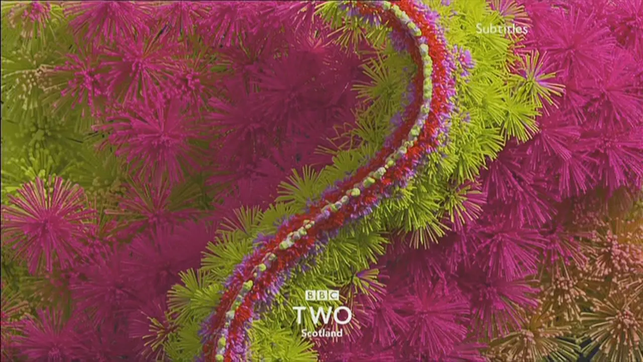 Thumbnail image for BBC Two Scotland (Fireworks)  - 2018