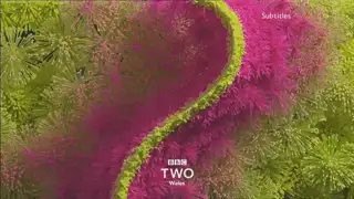 Thumbnail image for BBC Two Wales (Fireworks)  - 2018