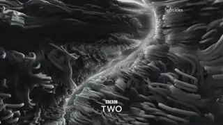 Thumbnail image for BBC Two (Greyscale Worms)  - 2018