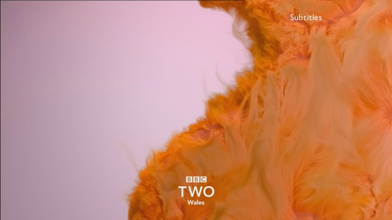 Thumbnail image for BBC Two Wales (Fluffy)  - 2018