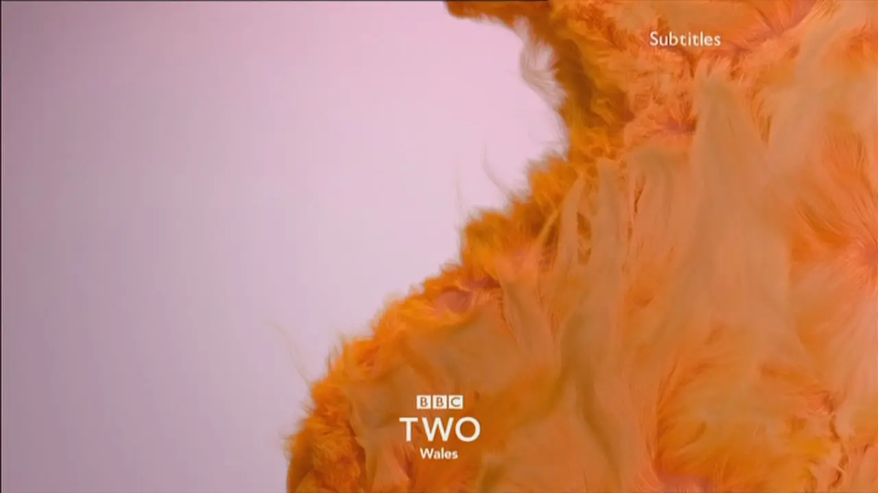 Thumbnail image for BBC Two Wales (Fluffy)  - 2018