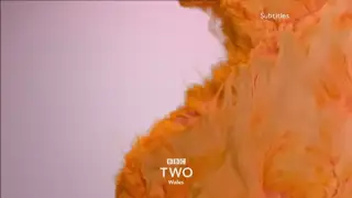 Thumbnail image for BBC Two Wales (Fluffy)  - 2018