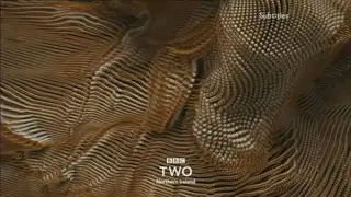 Thumbnail image for BBC Two NI (Brown Pins)  - 2018