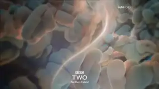 Thumbnail image for BBC Two NI (Smoke)  - 2018