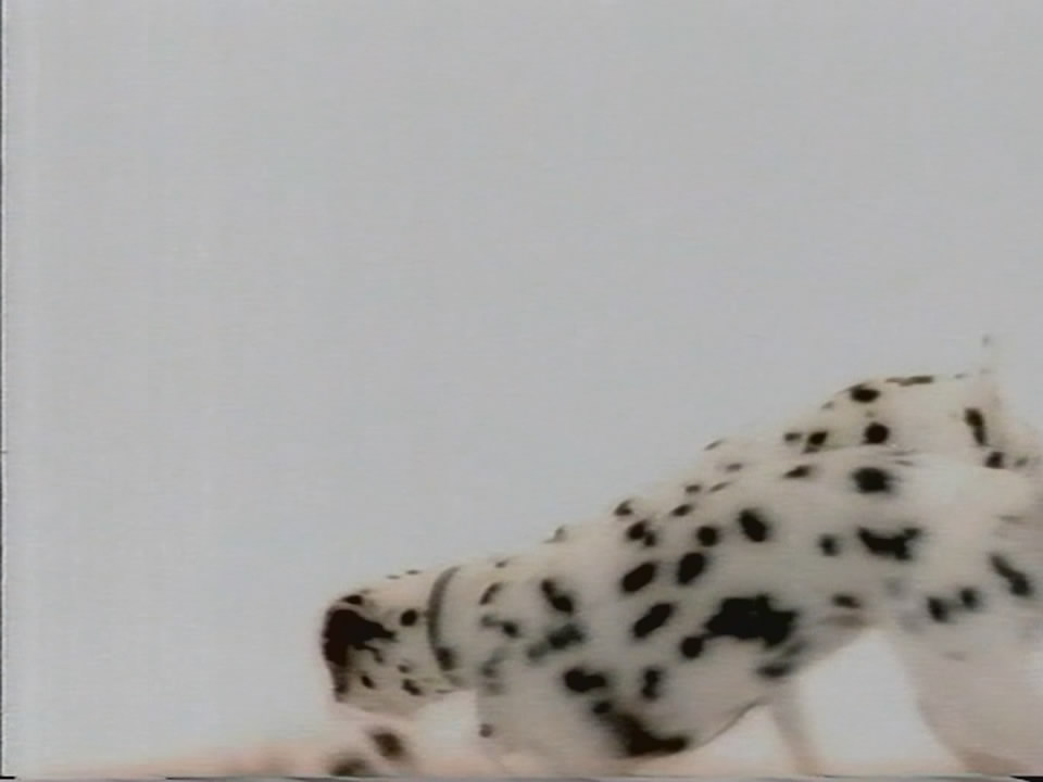Thumbnail image for Channel 4 (Dalmations)  - 1997