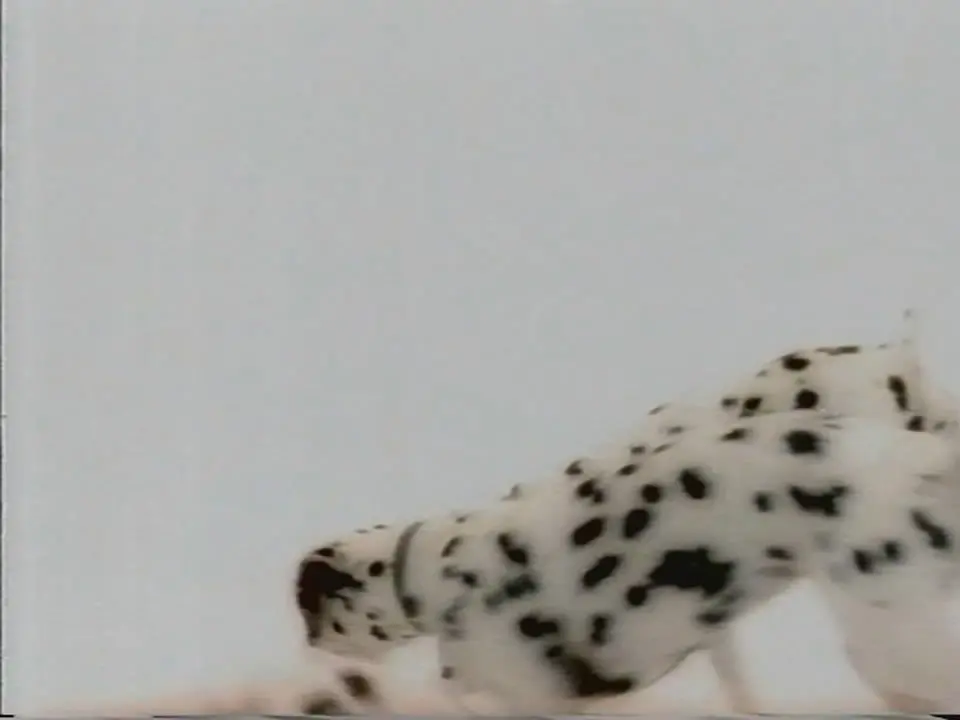 Thumbnail image for Channel 4 (Dalmations)  - 1997