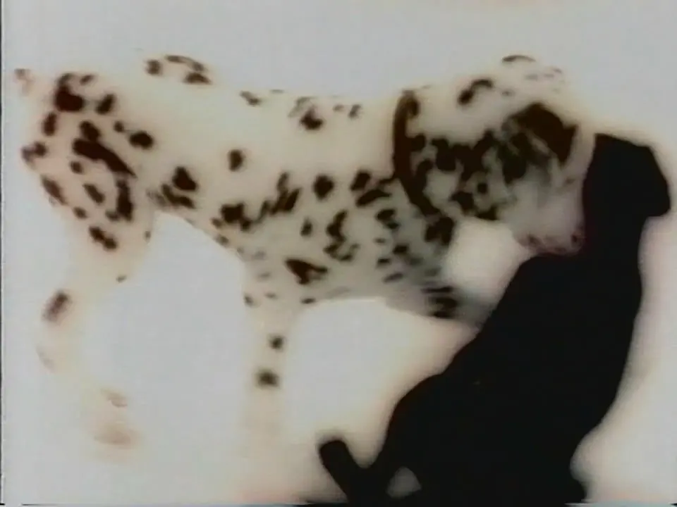Thumbnail image for Channel 4 (Puppies)  - 1997